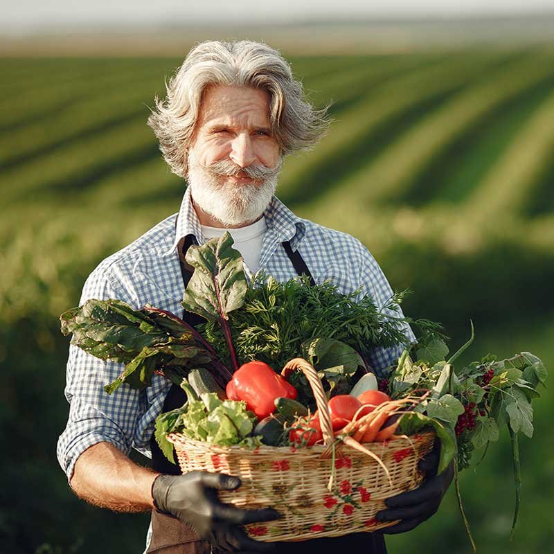 Dehydrated Garlic & Onion - Hasti Foods